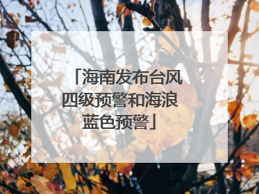 海南发布台风四级预警和海浪蓝色预警