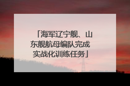 海军辽宁舰、山东舰航母编队完成实战化训练任务