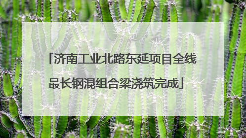 济南工业北路东延项目全线最长钢混组合梁浇筑完成