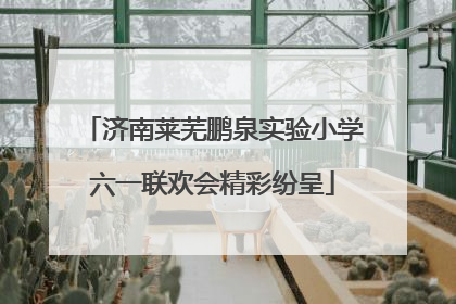 济南莱芜鹏泉实验小学六一联欢会精彩纷呈