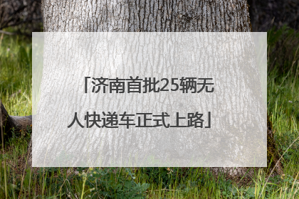 济南首批25辆无人快递车正式上路