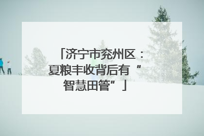 济宁市兖州区：夏粮丰收背后有“智慧田管”