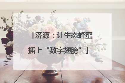 济源：让生态蜂蜜插上“数字翅膀”