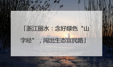 浙江丽水：念好绿色“山字经”，闯出生态富民路