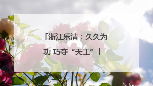 浙江乐清：久久为功 巧夺“天工”