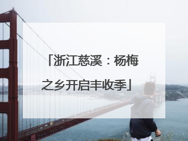 浙江慈溪：杨梅之乡开启丰收季