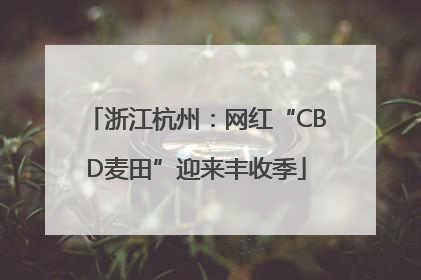 浙江杭州：网红“CBD麦田”迎来丰收季