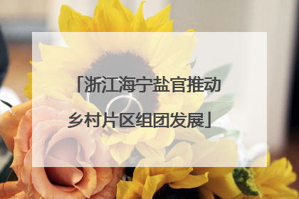 浙江海宁盐官推动乡村片区组团发展