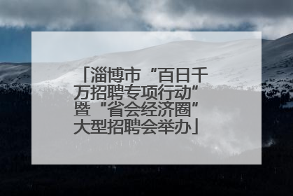 淄博市“百日千万招聘专项行动”暨“省会经济圈”大型招聘会举办