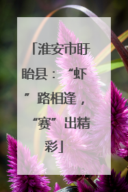 淮安市盱眙县：“虾”路相逢，“赛”出精彩