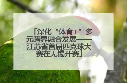 深化“体育+”多元跨界融合发展——江苏省首届匹克球大赛在无锡开赛