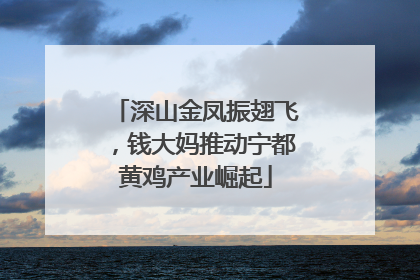 深山金凤振翅飞，钱大妈推动宁都黄鸡产业崛起