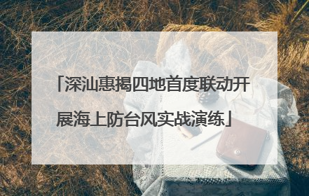 深汕惠揭四地首度联动开展海上防台风实战演练