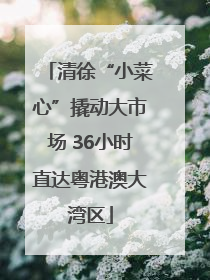清徐“小菜心”撬动大市场 36小时直达粤港澳大湾区