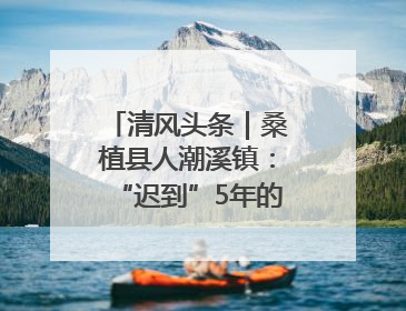 清风头条｜桑植县人潮溪镇：“迟到”5年的生态林补偿金