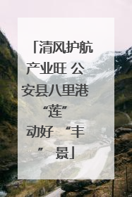 清风护航产业旺 公安县八里港 “莲” 动好 “丰” 景