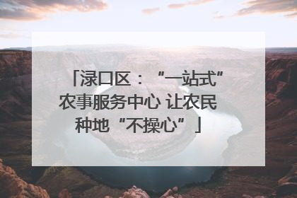 渌口区：“一站式”农事服务中心 让农民种地“不操心”
