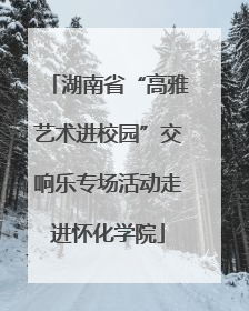 湖南省“高雅艺术进校园”交响乐专场活动走进怀化学院