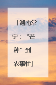 湖南常宁：“芒种”到 农事忙
