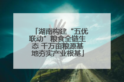 湖南构建“五优联动”粮食全链生态 千万亩粮源基地夯实产业根基