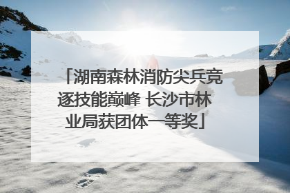 湖南森林消防尖兵竞逐技能巅峰 长沙市林业局获团体一等奖
