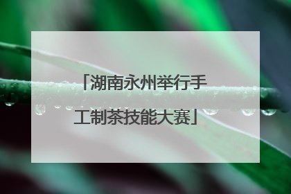 湖南永州举行手工制茶技能大赛