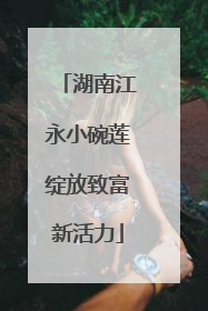 湖南江永小碗莲绽放致富新活力