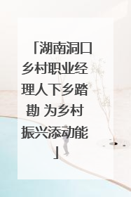 湖南洞口乡村职业经理人下乡踏勘 为乡村振兴添动能