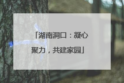 湖南洞口：凝心聚力，共建家园