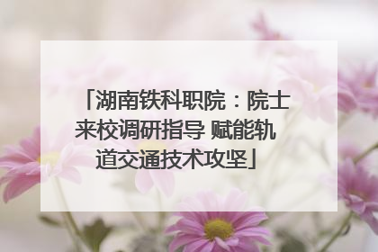 湖南铁科职院：院士来校调研指导 赋能轨道交通技术攻坚