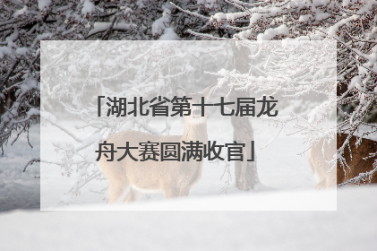 湖北省第十七届龙舟大赛圆满收官