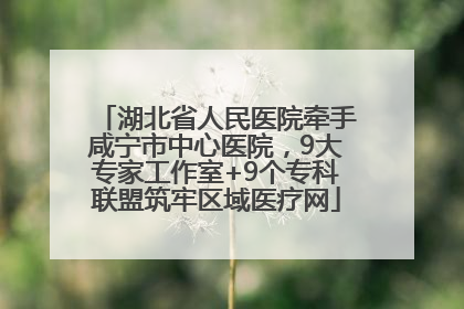 湖北省人民医院牵手咸宁市中心医院，9大专家工作室+9个专科联盟筑牢区域医疗网