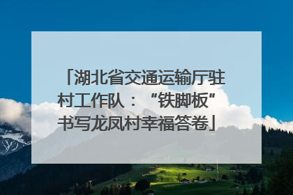 湖北省交通运输厅驻村工作队：“铁脚板”书写龙凤村幸福答卷