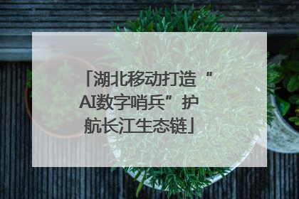 湖北移动打造“AI数字哨兵”护航长江生态链