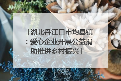 湖北丹江口市均县镇：爱心企业开展公益捐助推进乡村振兴
