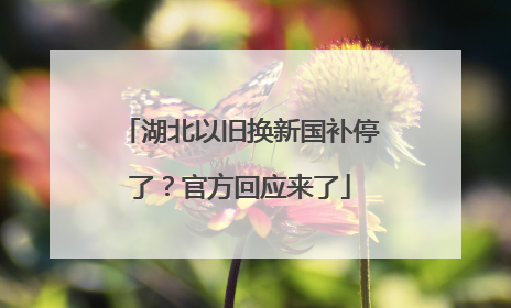 湖北以旧换新国补停了？官方回应来了