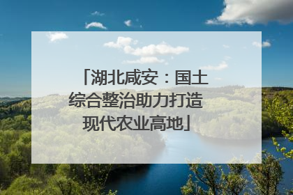 湖北咸安：国土综合整治助力打造现代农业高地