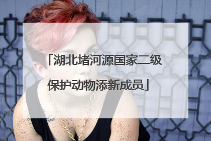 湖北堵河源国家二级保护动物添新成员