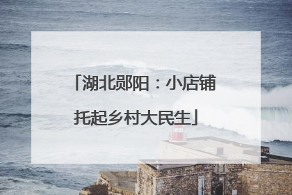 湖北郧阳：小店铺托起乡村大民生