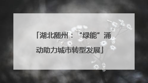 湖北随州：“绿能”涌动助力城市转型发展