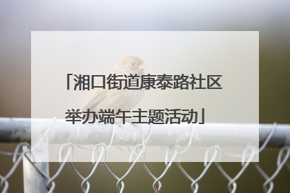 湘口街道康泰路社区举办端午主题活动