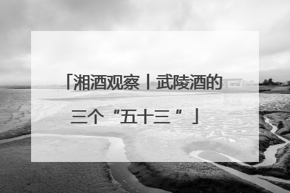 湘酒观察丨武陵酒的三个“五十三 ”