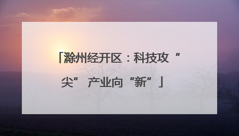 滁州经开区：科技攻“尖” 产业向“新”