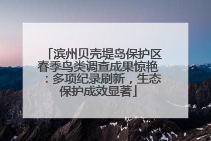 滨州贝壳堤岛保护区春季鸟类调查成果惊艳：多项纪录刷新，生态保护成效显著
