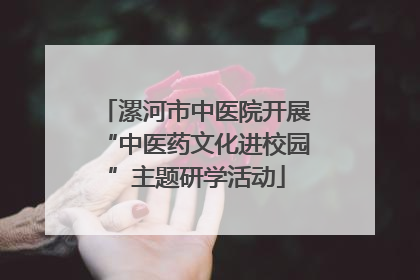 漯河市中医院开展“中医药文化进校园”主题研学活动