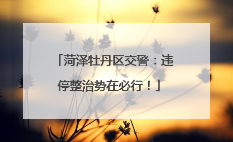 菏泽牡丹区交警：违停整治势在必行！