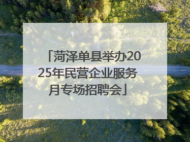菏泽单县举办2025年民营企业服务月专场招聘会