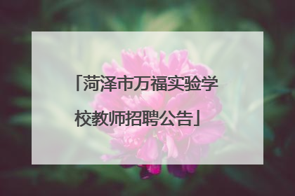 菏泽市万福实验学校教师招聘公告
