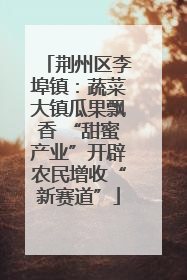 荆州区李埠镇：蔬菜大镇瓜果飘香 “甜蜜产业”开辟农民增收“新赛道”