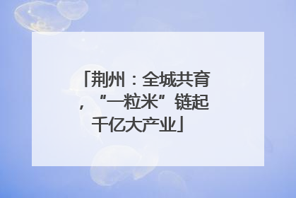 荆州：全城共育，“一粒米”链起千亿大产业